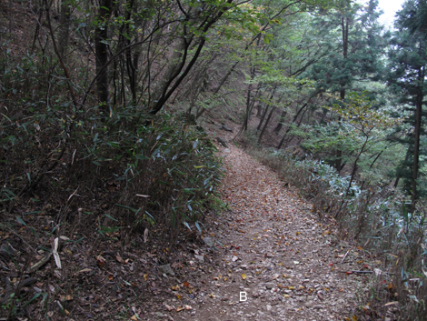 20151021hike (76)